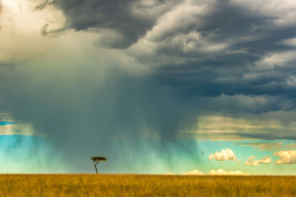 Photograph by Zubair Irshad