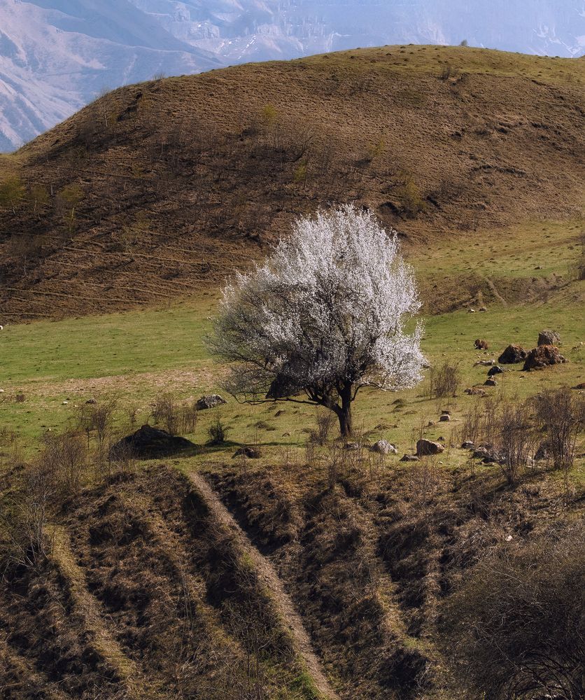 Photograph by Natalia Bolotenkova