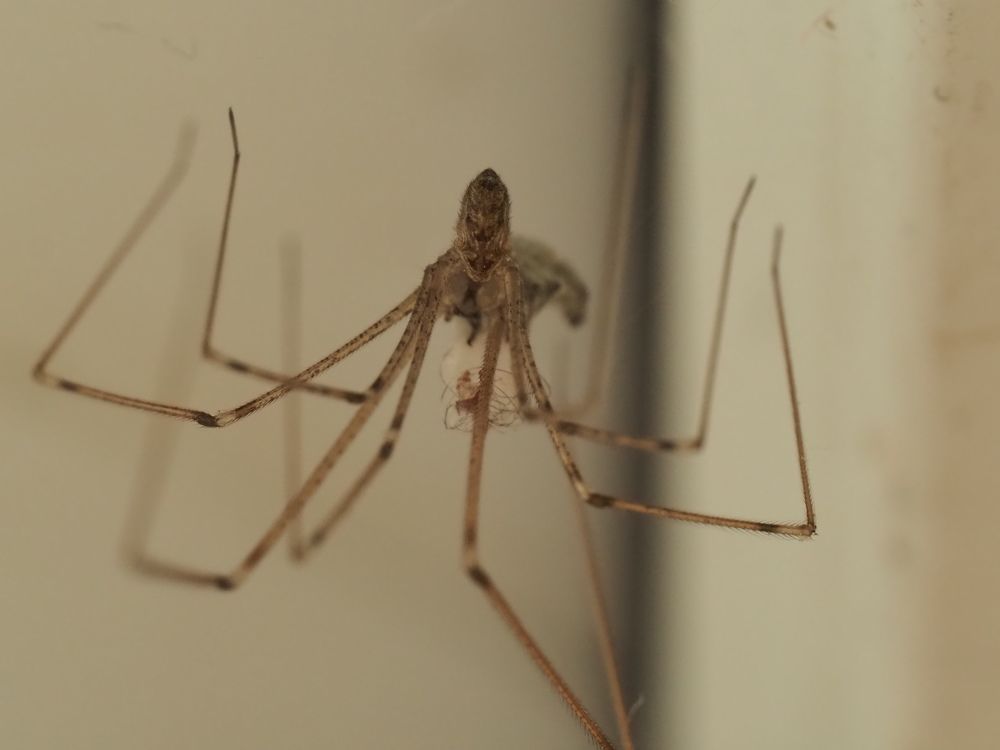 Photograph by Сергей Борисов