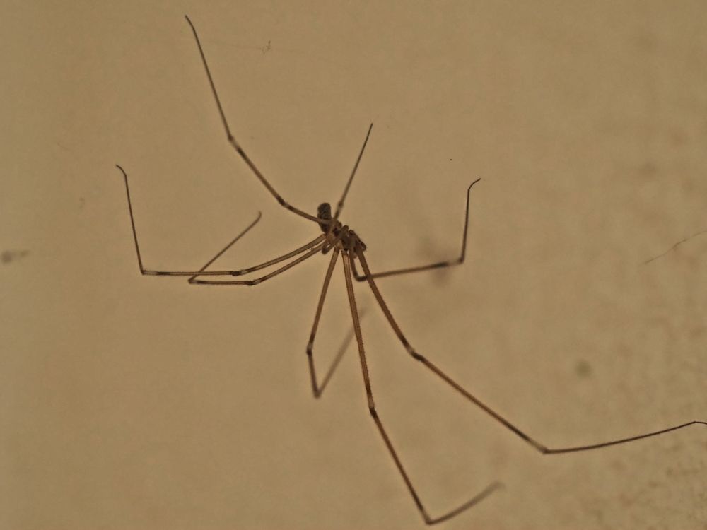 Photograph by Сергей Борисов