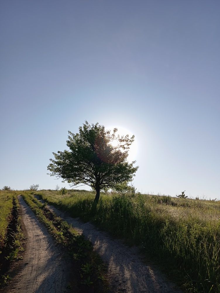 Photograph by Елена Коробченко