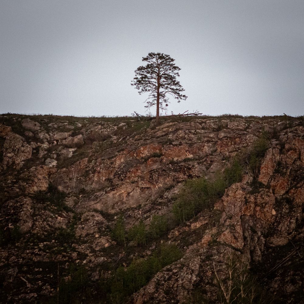 Photograph by Vitaly Lapin