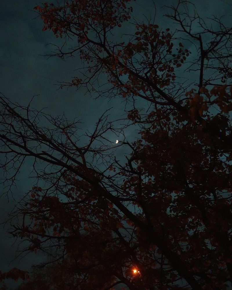 Фотография автора Сергей