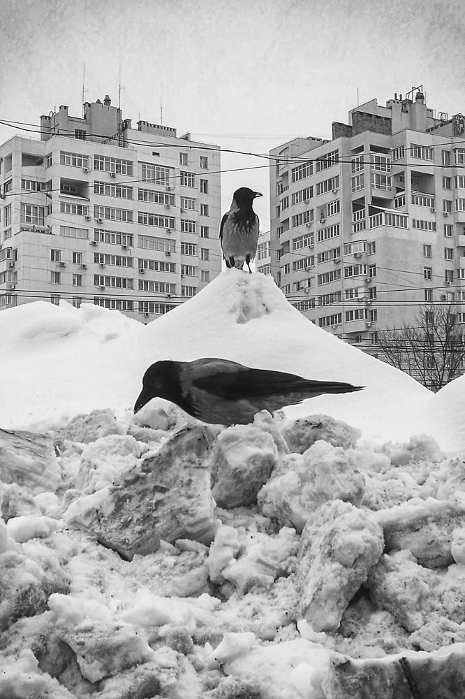 Photograph by Ирина Корпачева