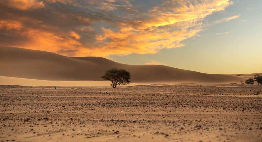 Photograph by Khaled Mesbah