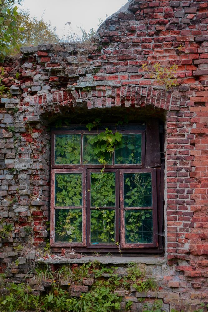 Photograph by Nataly Kiru