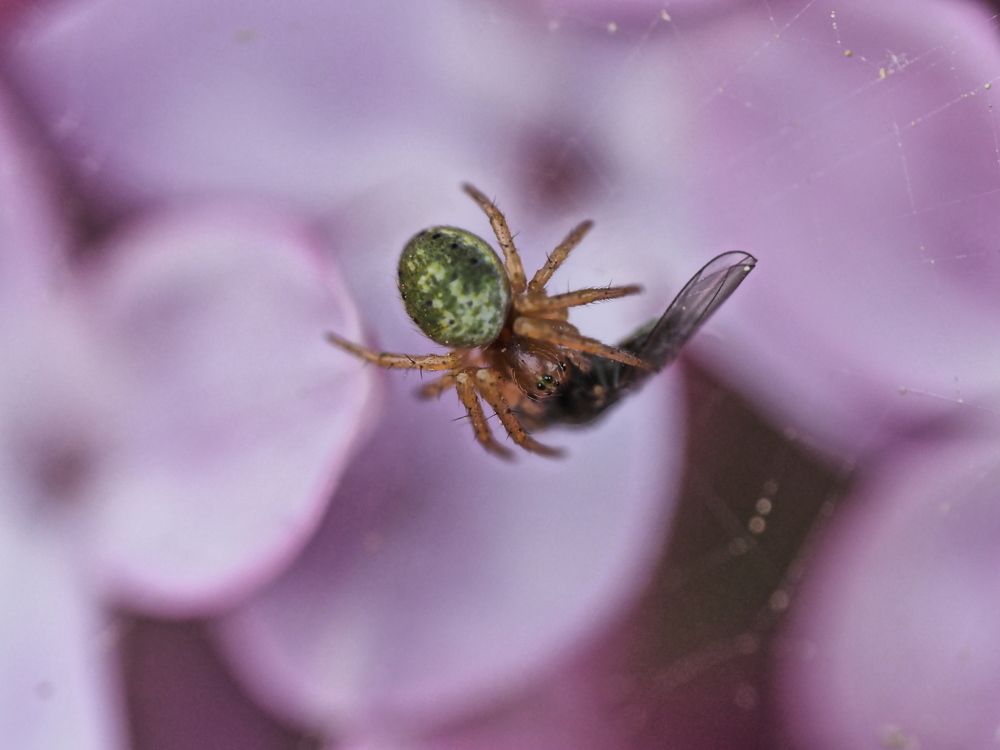 Photograph by Сергей Борисов