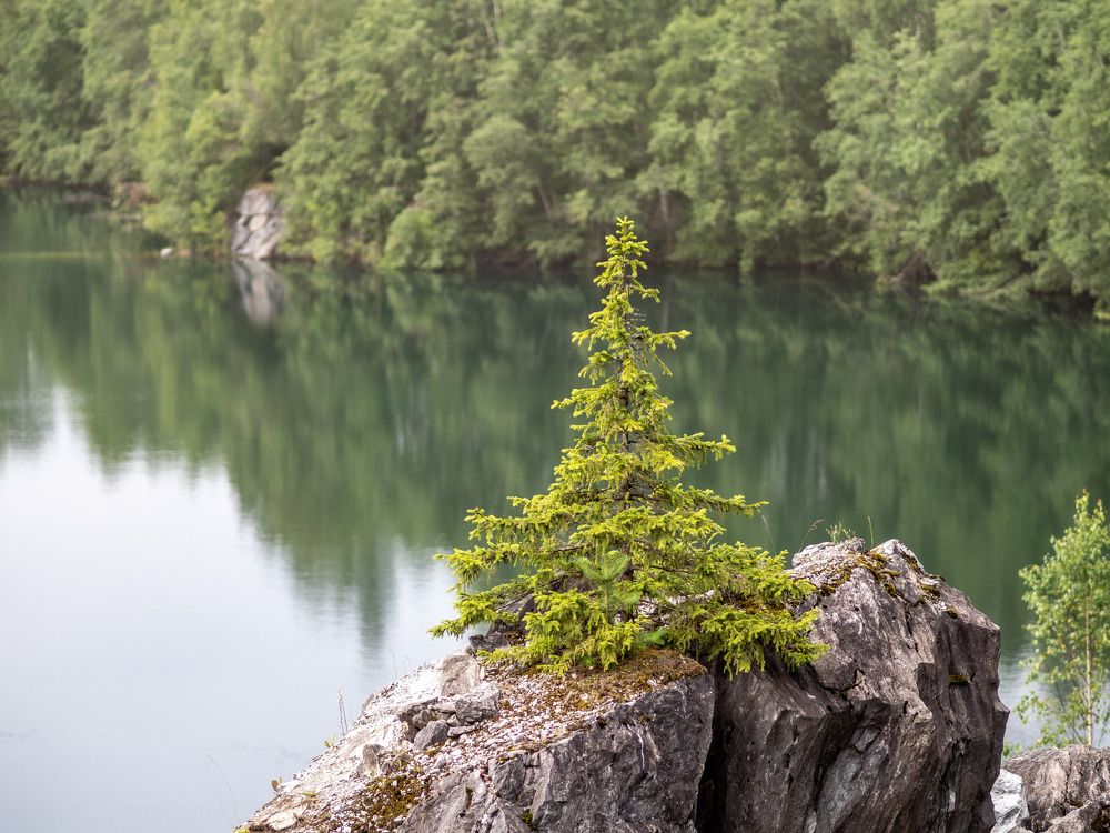 Photograph by Михаил