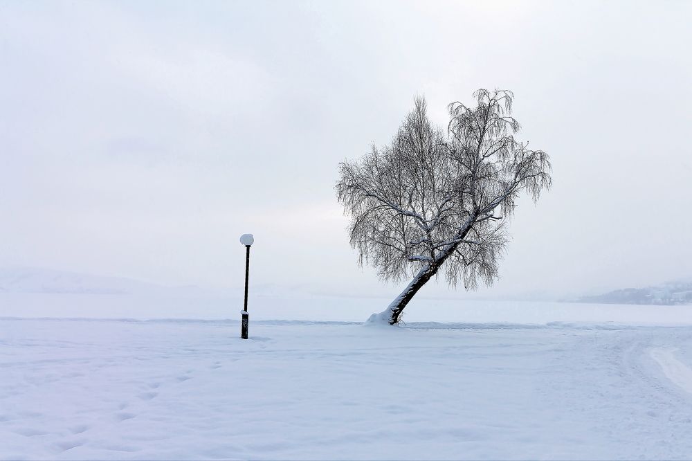 Photograph by Геннадий