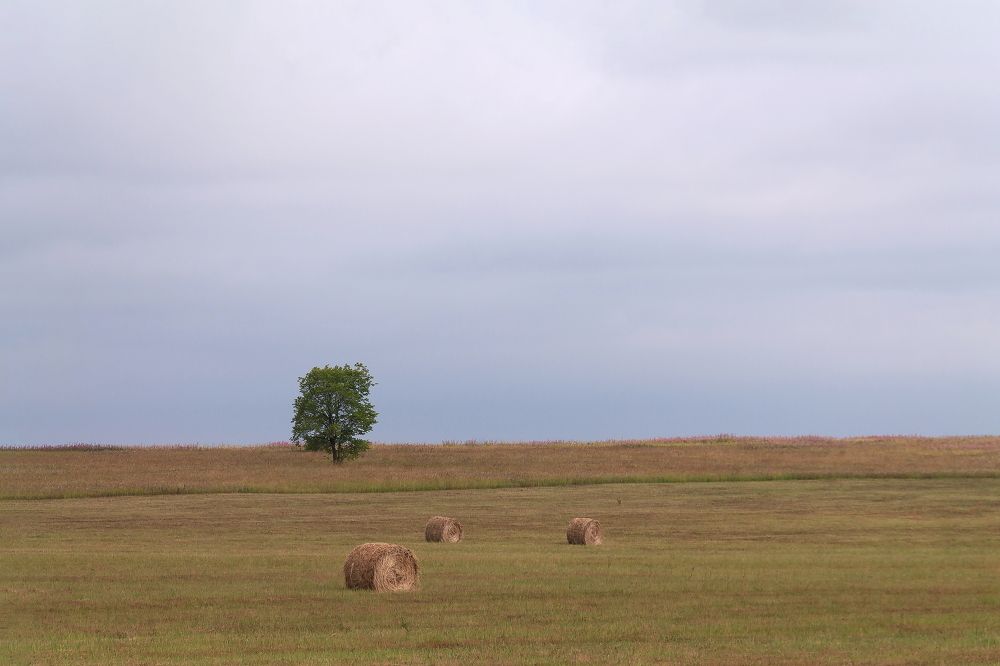 Photograph by Геннадий