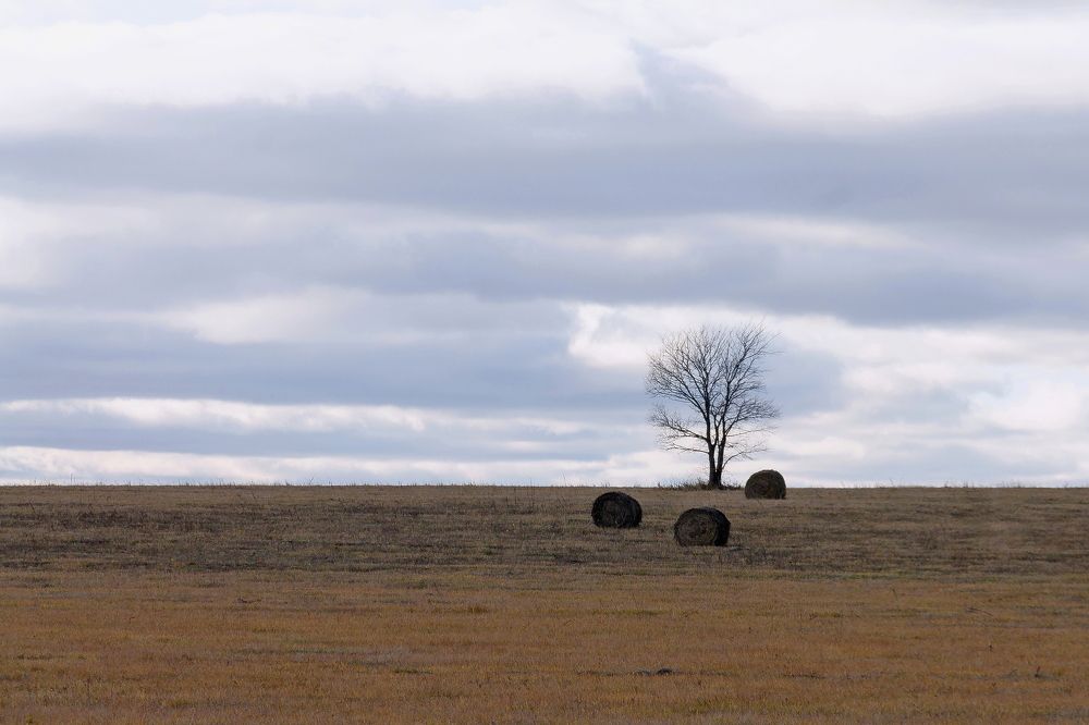 Photograph by Геннадий