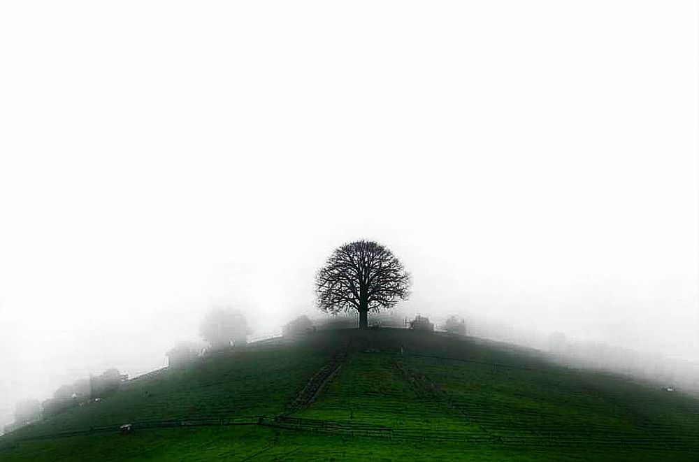 Photograph by Ольга