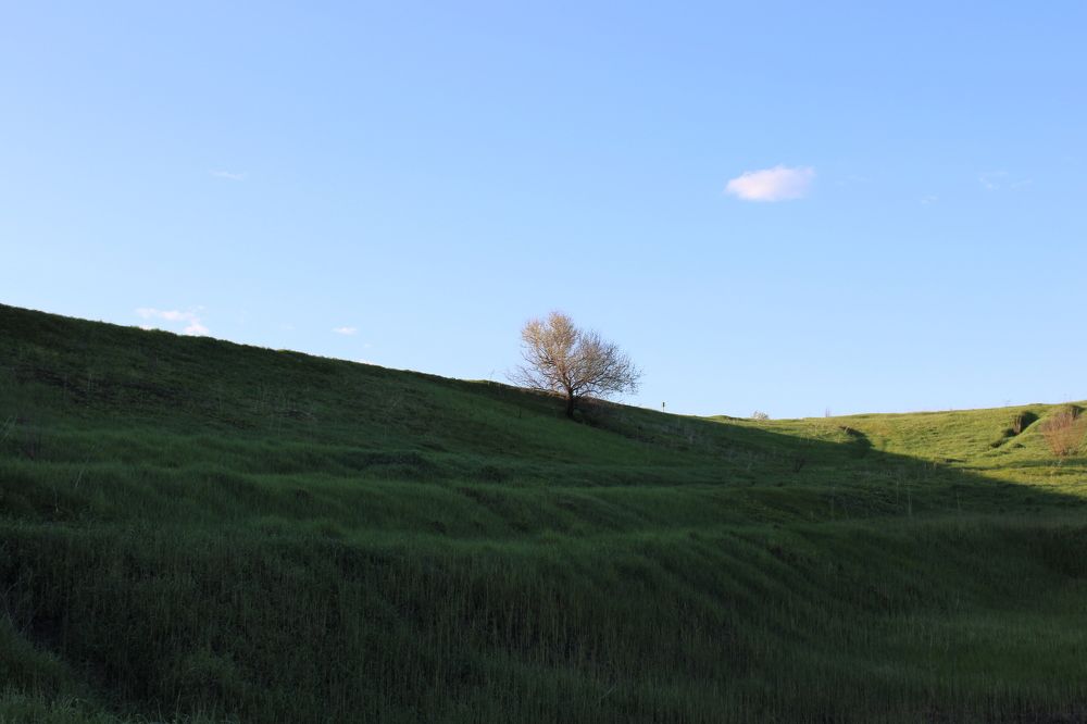 Photograph by Елена Коробченко