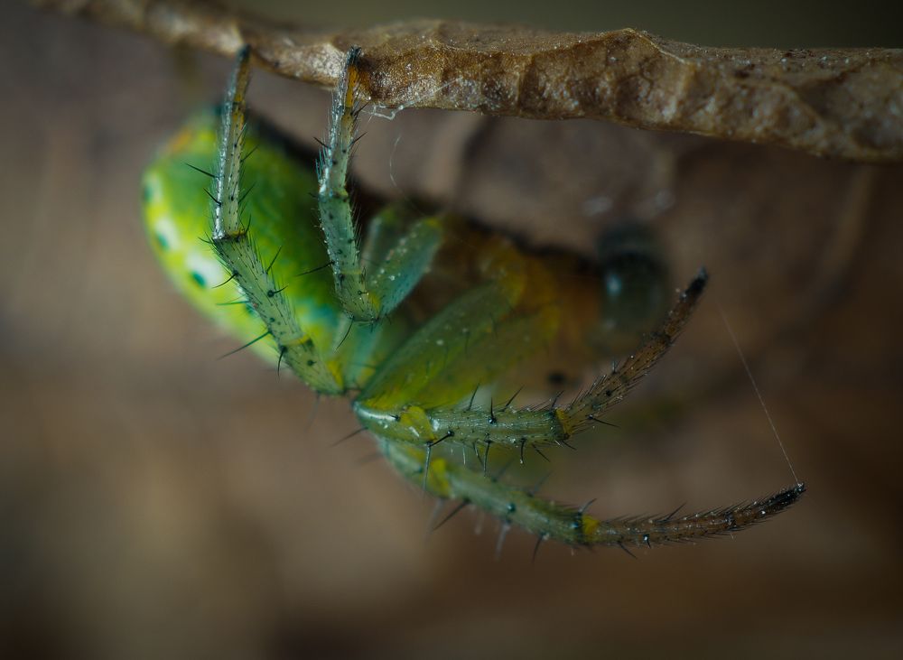 Photograph by Кристина Говоркова