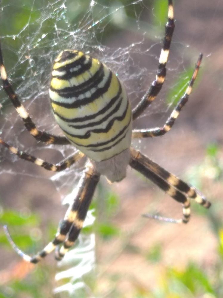 Photograph by Елена Коробченко