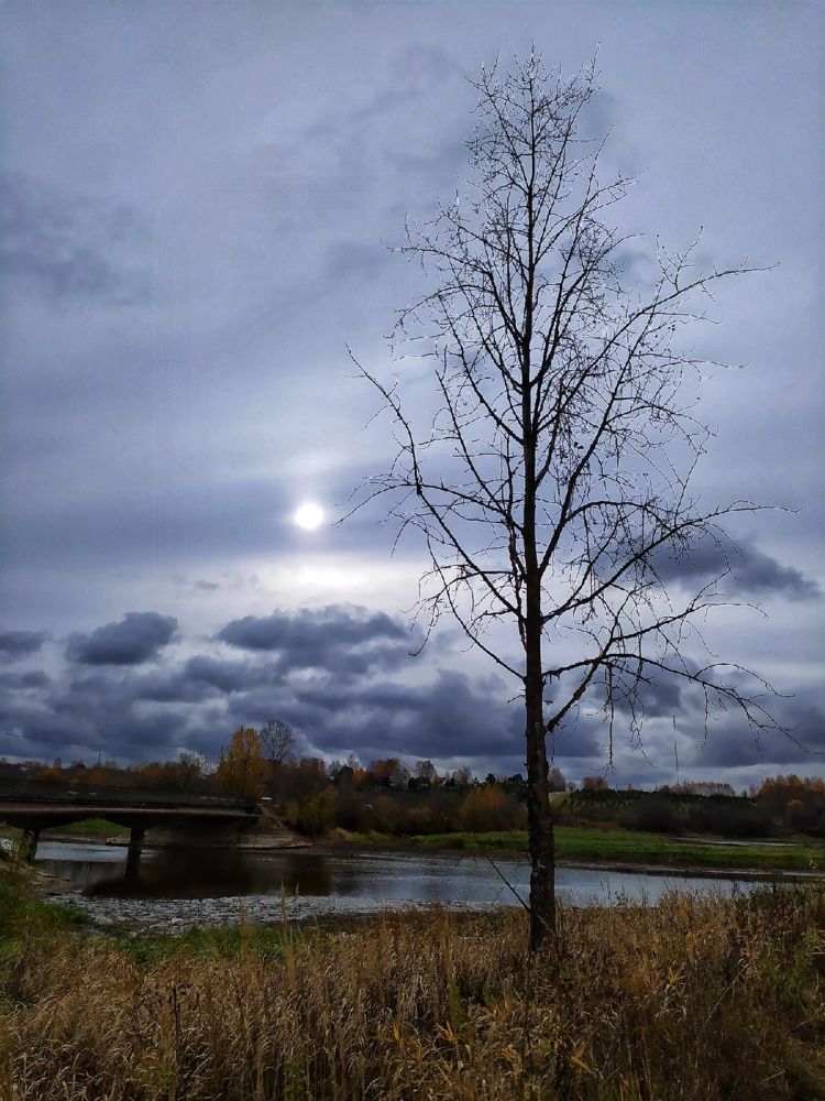 Photograph by Юлия Смирнова