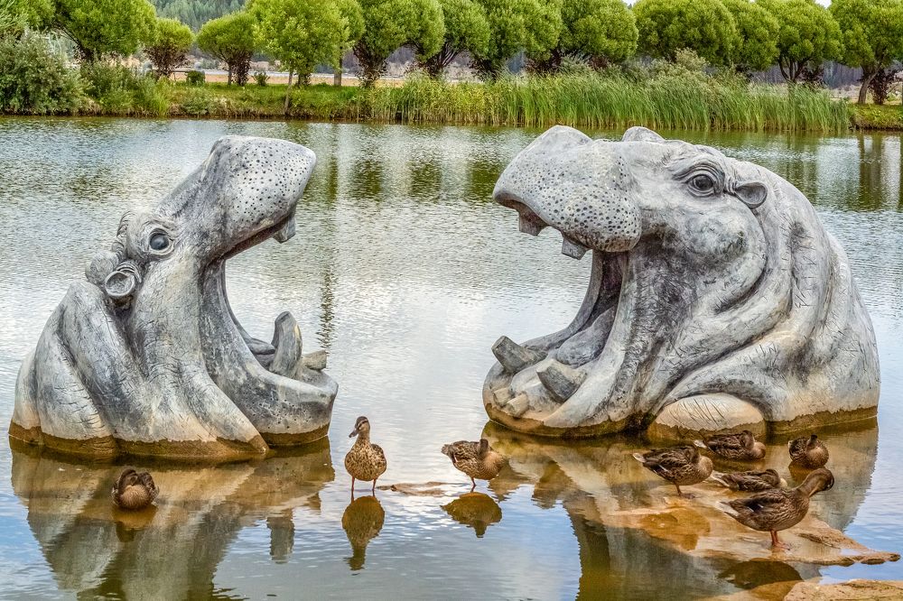 Photograph by Нина Пашина