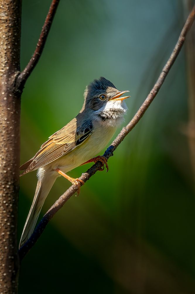 Photograph by Александр Соловьев