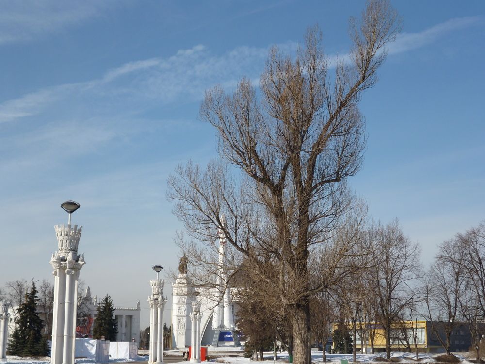 Photograph by Елена