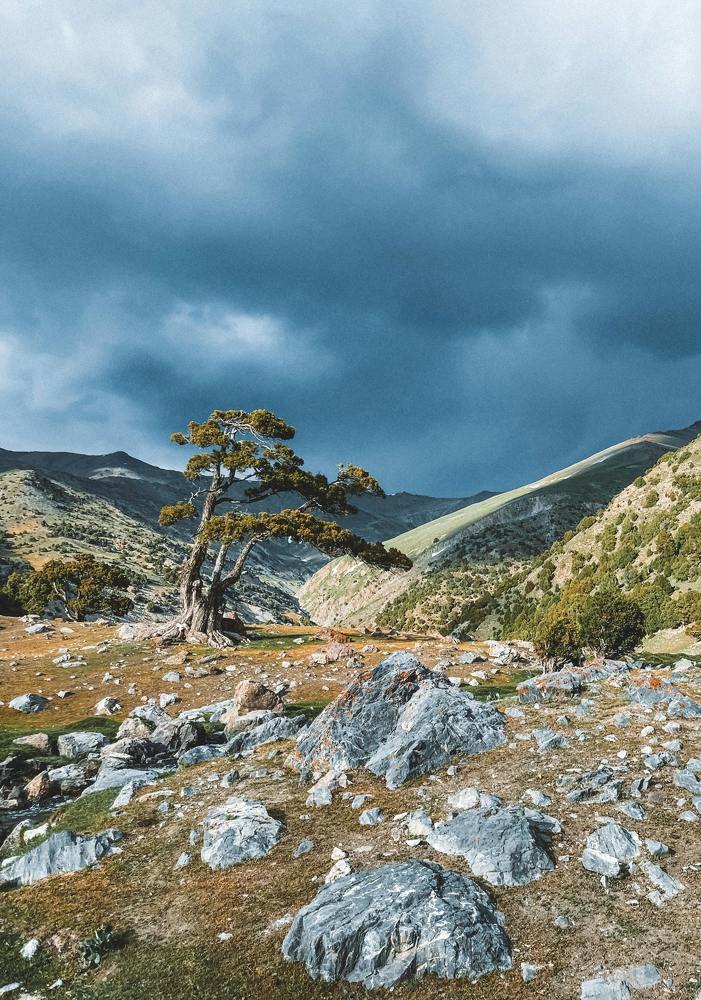 Photograph by Marina Zvada