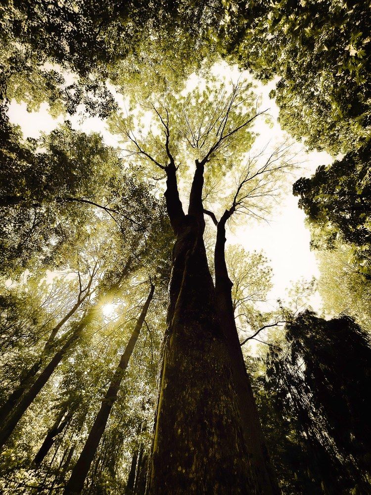 Photograph by Валерий Дьячков