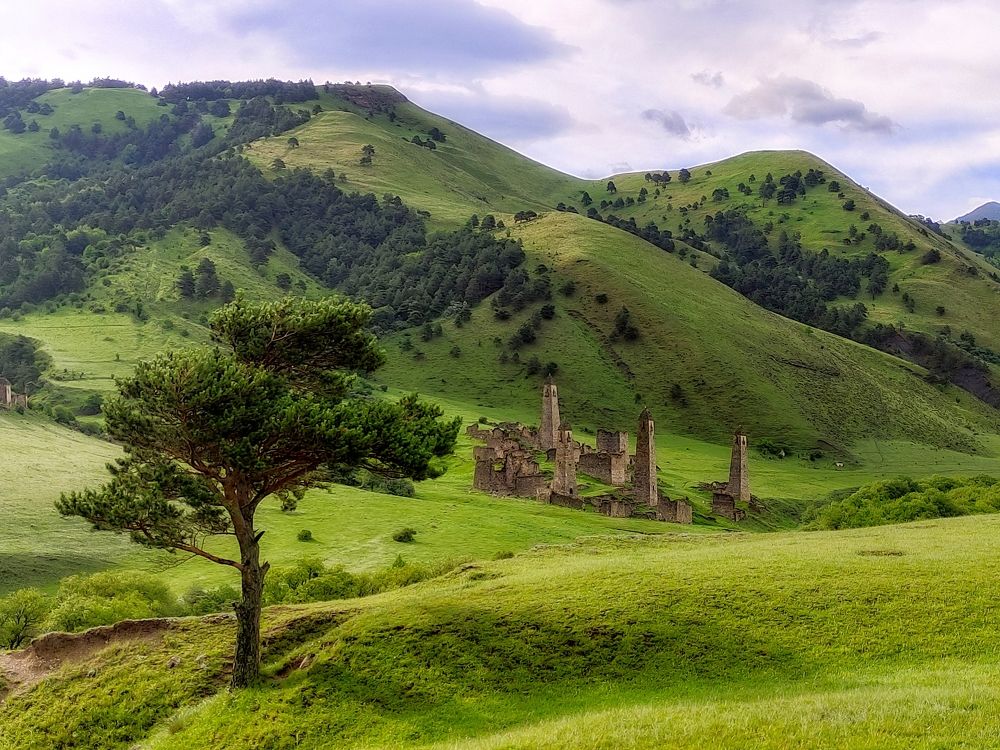 Photograph by Игорь Щербаков