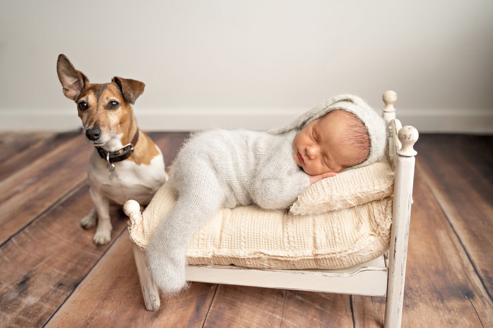 Photograph by Резеда Ахметжанова