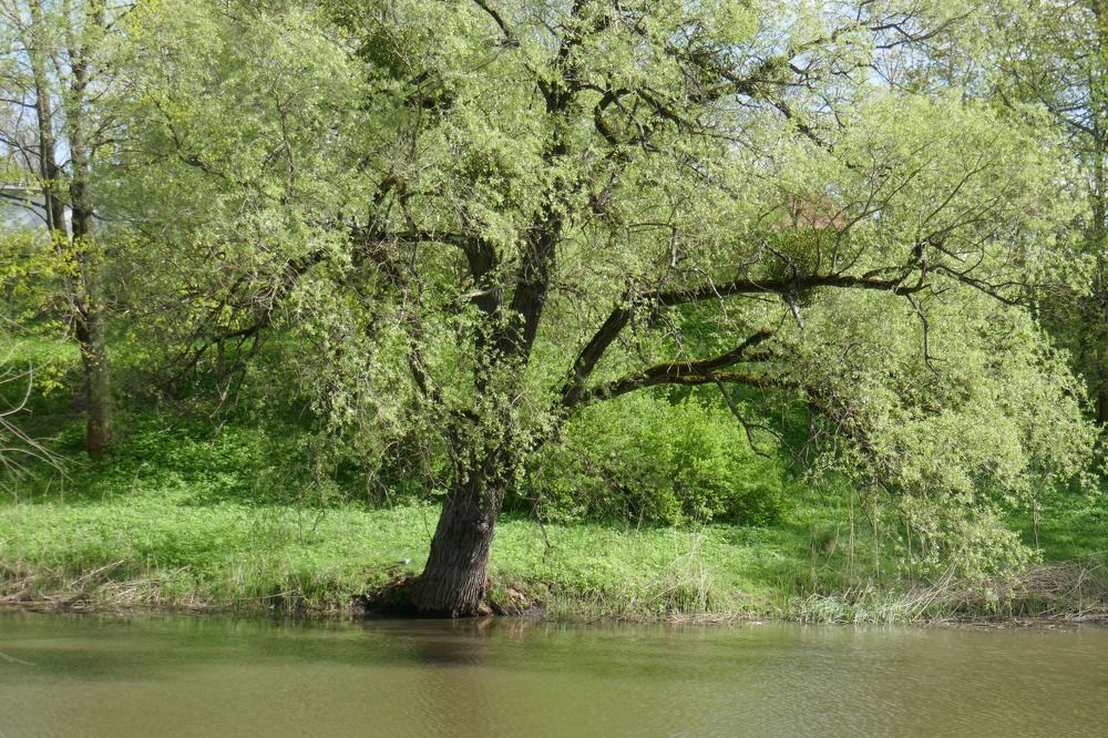 Photograph by Антон