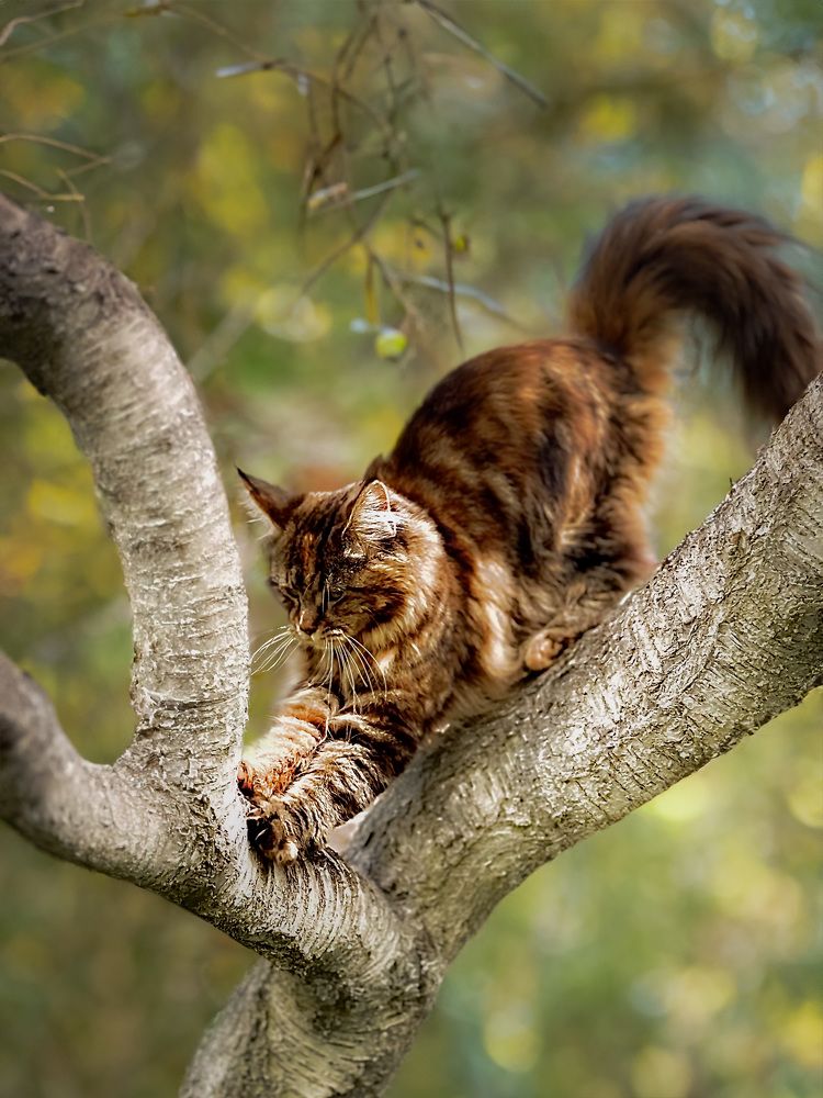 Photograph by gordon brown