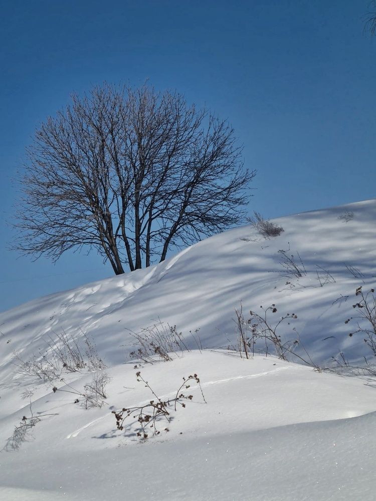 Photograph by Людмила Григорьева