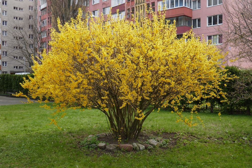 Photograph by Антон