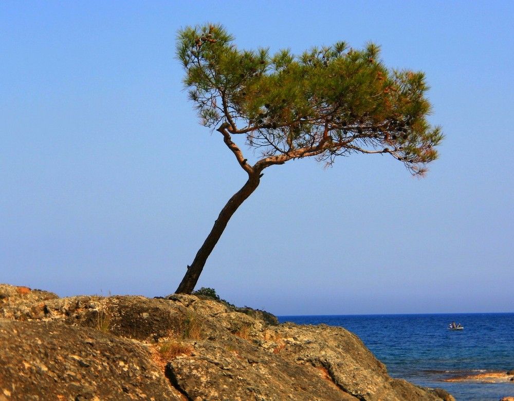 Photograph by PERESHEIN ANDREY