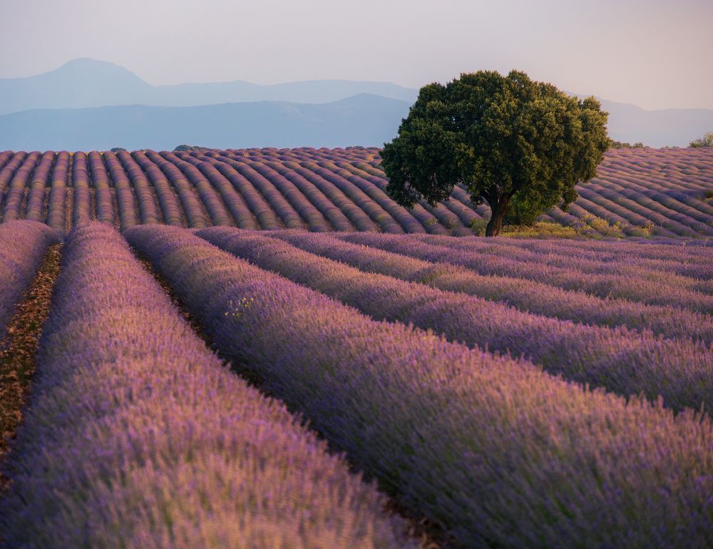 Photograph by Oscar Lata