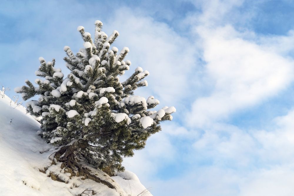 Photograph by Алексей Маринченко