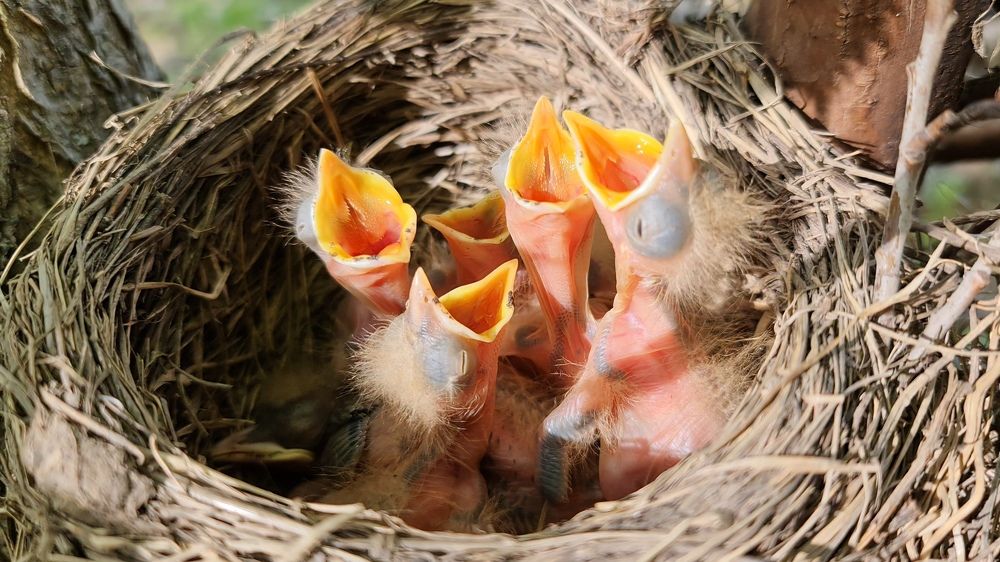 Фотография автора Валентин Науменков