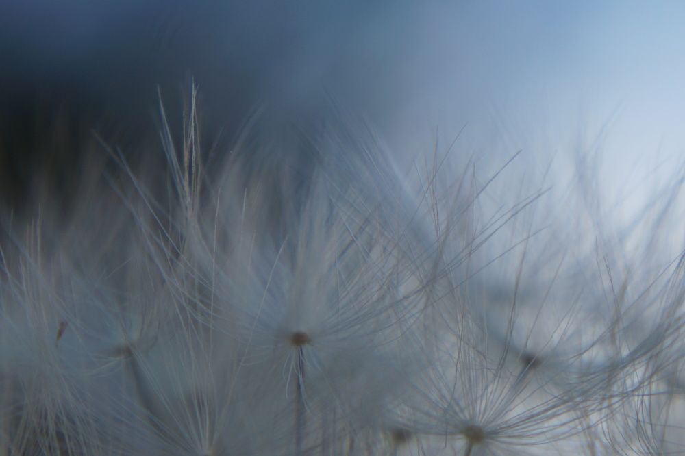 Photograph by Bozhidar Atanasov