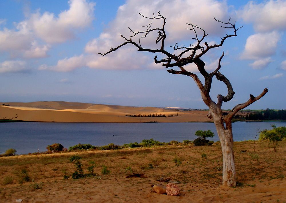 Photograph by Dam Dang Luong