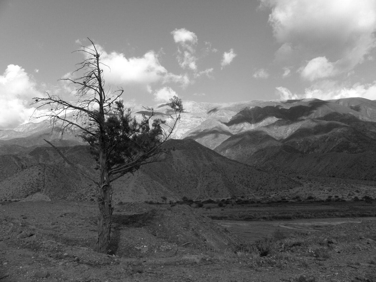 So lonely... Tilcara, Jujuy, Argentina.