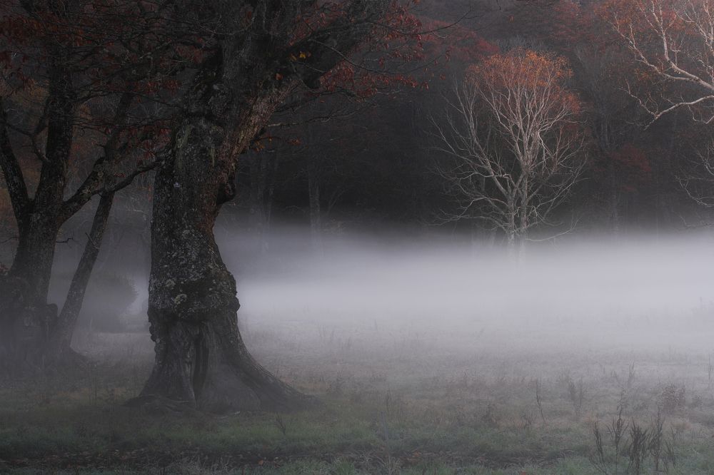 Photograph by Kaneko Atsushi