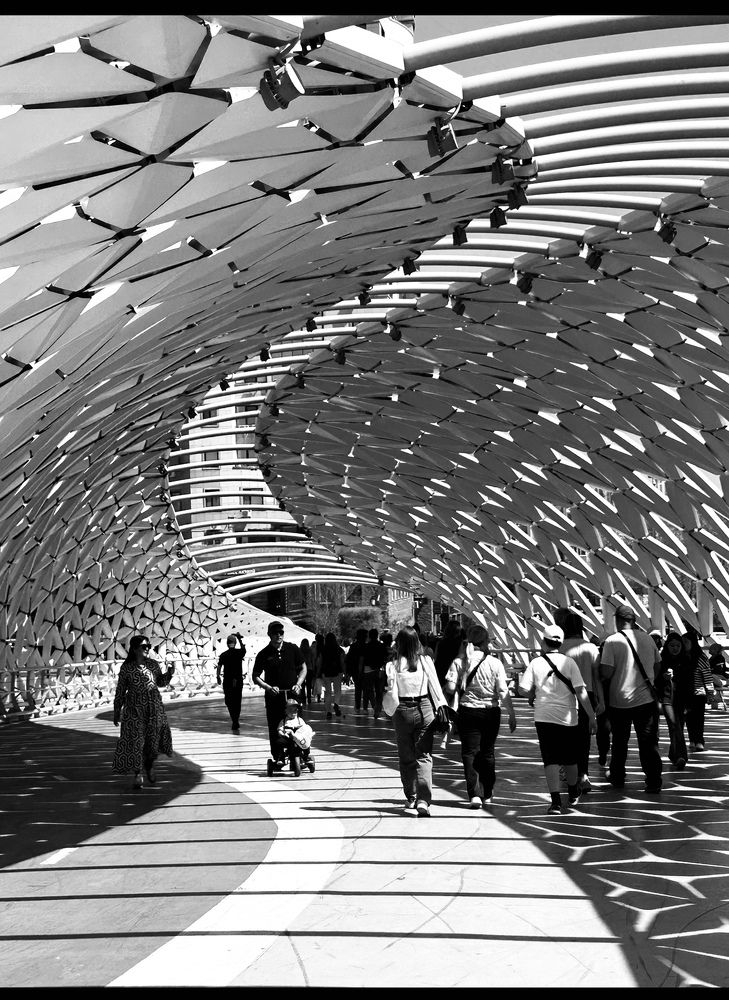 Photograph by Амирова Анар