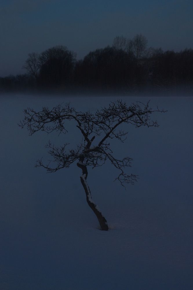 Фотография автора Любовь Харина