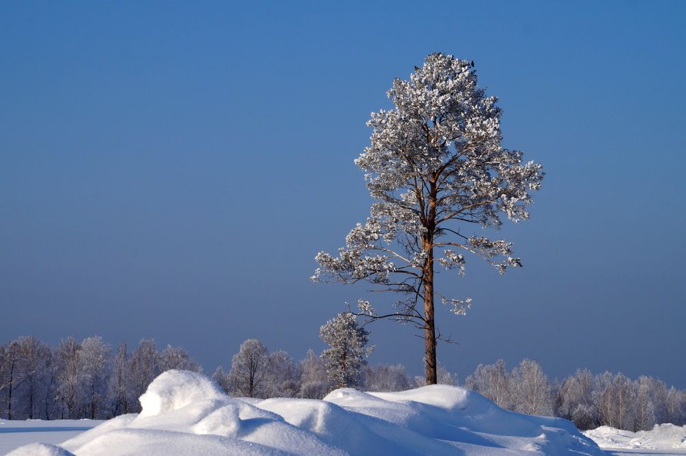 Photograph by Галина Кан