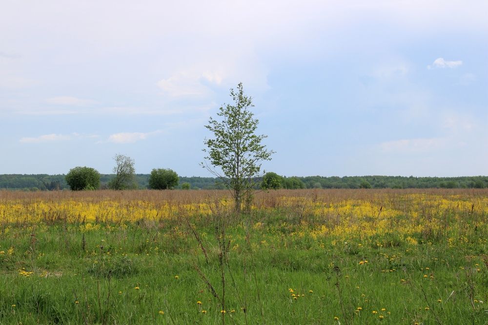 Photograph by Olga Bagaeva