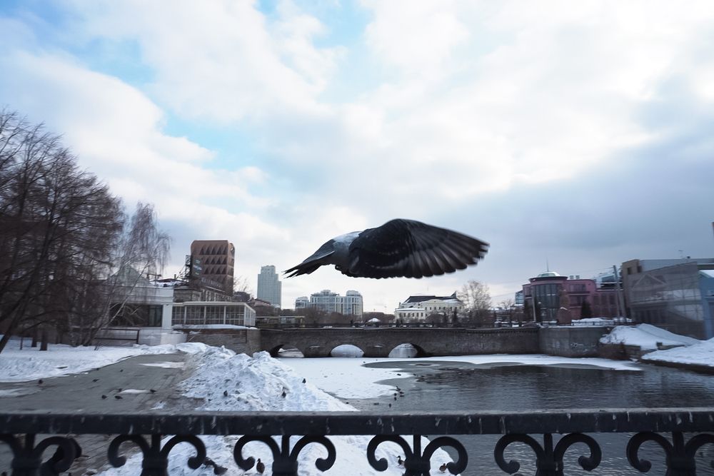 Photograph by Константин Обухов