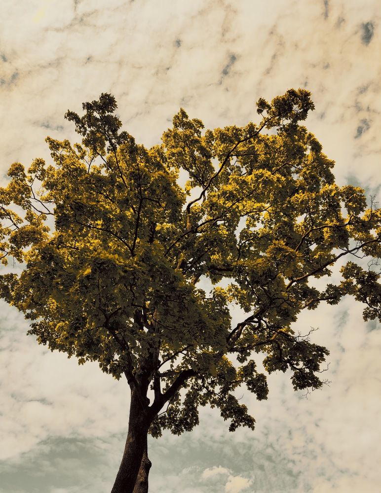 Photograph by Татьяна Гулакова