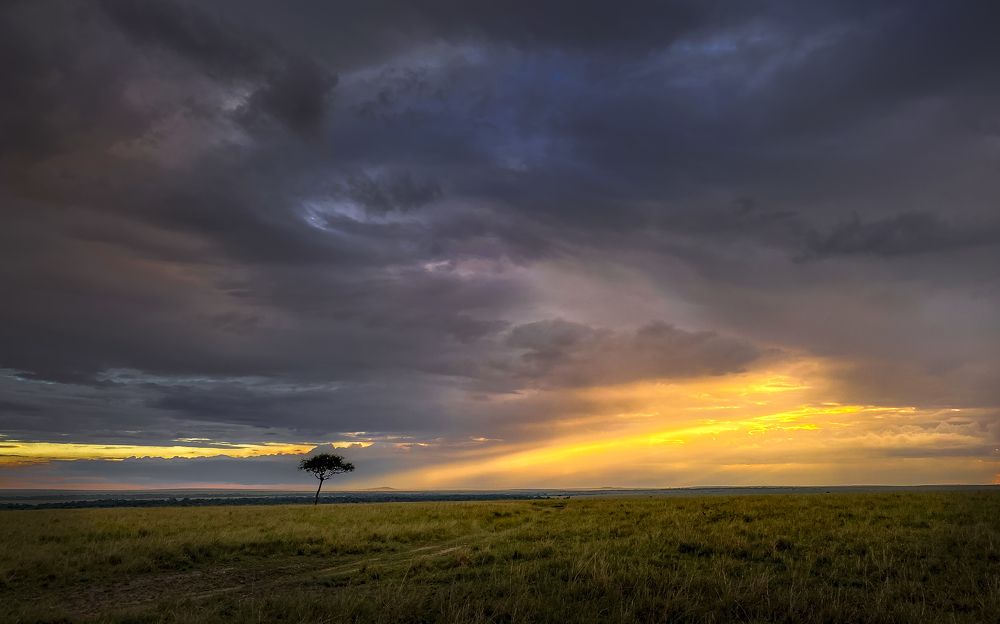 Photograph by Jayakumar MN