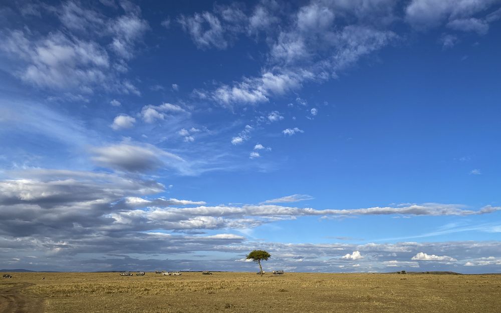 Photograph by Jayakumar MN