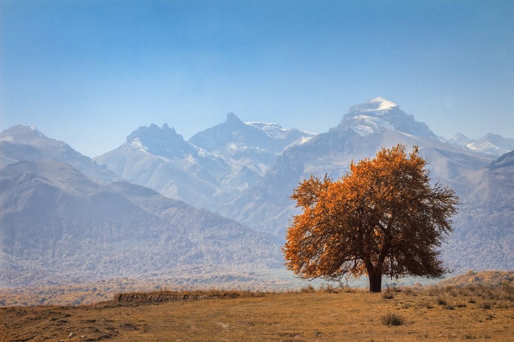 С видом на Кавказский хребет.