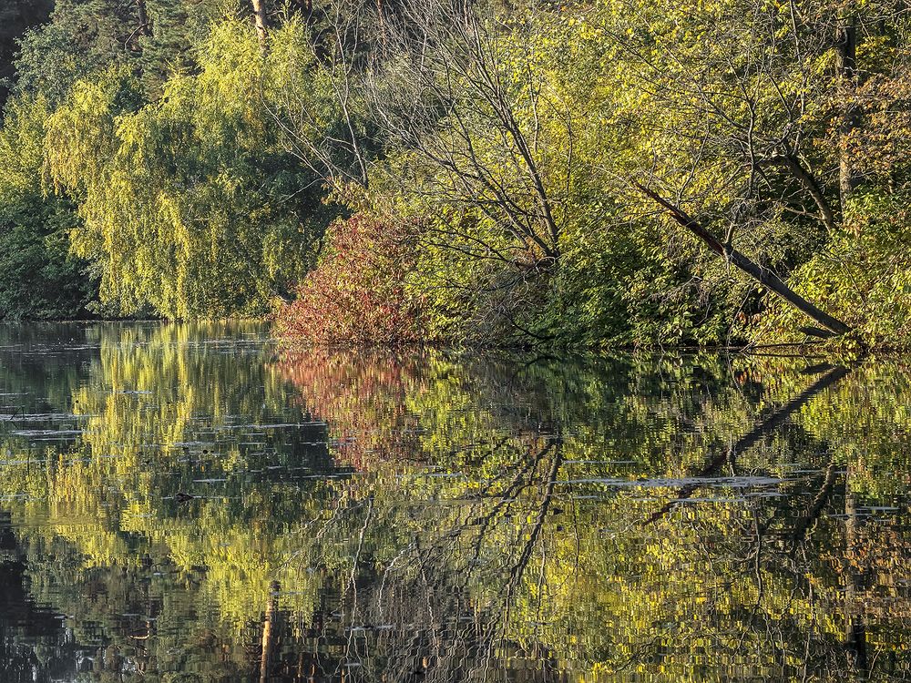 Photograph by Минаева Вера