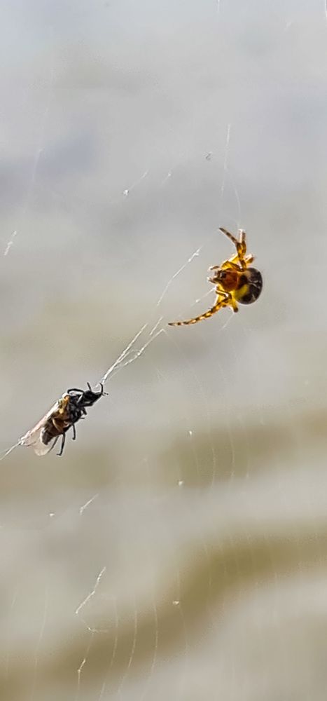 Photograph by Natasha Kim